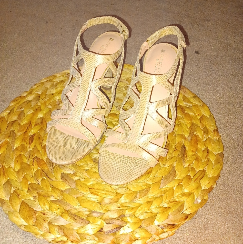 N5 Comfort 👠
